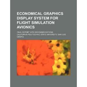 com Economical graphics display system for flight simulation avionics 