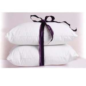  Ritz Carlton Pacific Coast Complete King Size Pillow Set 