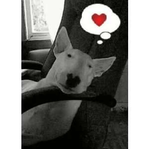  english bull terrier valentine Greeting Cards Health 