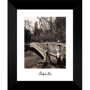 Chris Bliss FRAMED Art 15x18 Central Park Bridges II