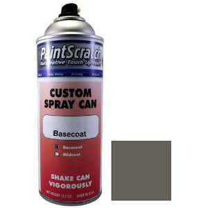  12.5 Oz. Spray Can of Graystone Metallic Touch Up Paint 