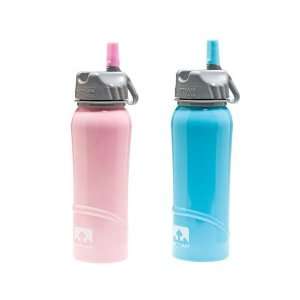   700 ml Temperature Change Steel Bottle   Pink