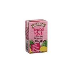 Knudsen Fruit Punch Asept 8 Pak ( 5x8/4.23OZ):  Grocery 