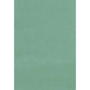   Gainsborough Velvet Jade by F Schumacher Fabric Arts, Crafts & Sewing