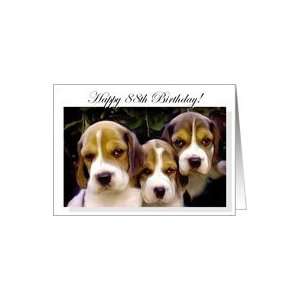  Happy 88th Birthday Beagle Puppies Card Toys & Games