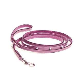  72 Spiked Leather Dog Leash for Small Dogs: Pet Supplies