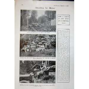   1906 Motor Cars Shooting Sport Lumber Camp Men Trees: Home & Kitchen