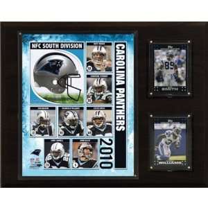  NFL Carolina Panthers 2010 Team Plaque: Home & Kitchen