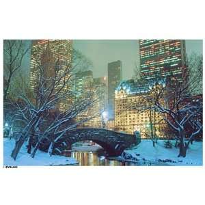  Central Park Snow Poster: Home & Kitchen