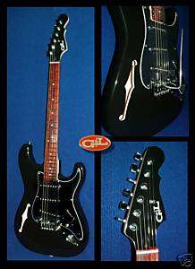 USA S500 Semihollow Guitar Ms Leo Fender Certified  