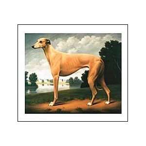  Greyhound in Park Landscape Print