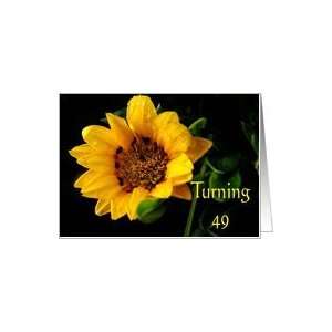  49th Birthday, yellow Gazania Card Toys & Games