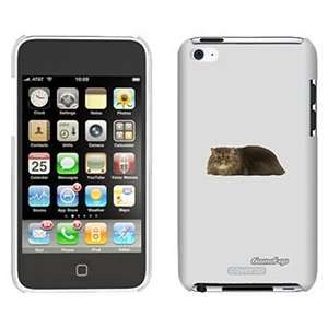  Persian Sitting on iPod Touch 4 Gumdrop Air Shell Case 