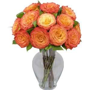 One Dozen Sundaze Roses with Jordan Vase  Grocery 
