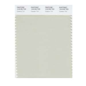   13 6105X Color Swatch Card, Celadon Tint:  Home Improvement