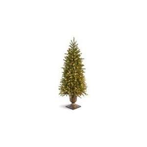   Fir Entrance Christmas Tree with 100 Clear Lights