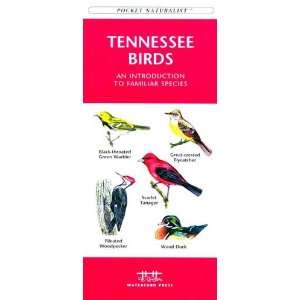  Folding Pocket Guide   Tennessee Birds 