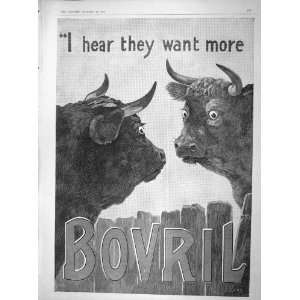  1902 ADVERTISEMENT BOVRIL HIGHLAND CATTLE ANIMALS: Home 