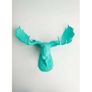   Faux Taxidermy  Animal Mounts  Trophy Taxidermy: Home & Kitchen