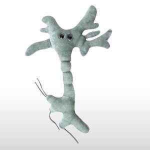  GIANT GERM   BRAIN CELL Toys & Games
