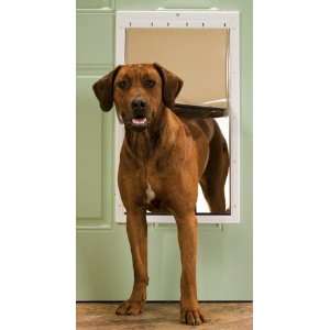  Extra Large PetSafe Plastic Dog Door: Pet Supplies