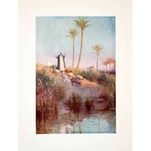   Egypt Robert Talbot Kelly   Original Color Print