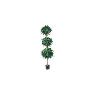  5 Triple Ball Sweet Bay Topiary: Home & Kitchen