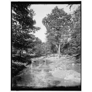  Doan Brook,Wade Park,Cleveland,Ohio