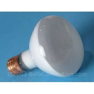  GE 300R/3FL (21254) Lamp Bulb Replacement