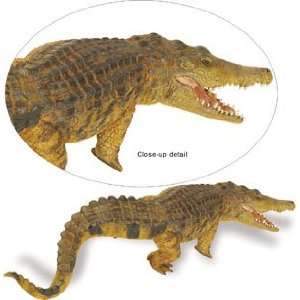  Safari 262629 Saltwater Crocodile Animal Figure  Pack of 2 