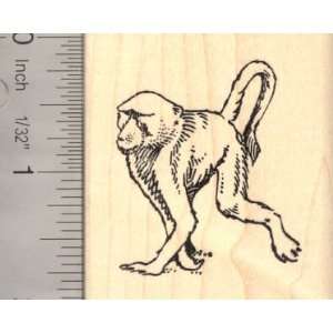  Baboon Monkey Rubber Stamp: Arts, Crafts & Sewing