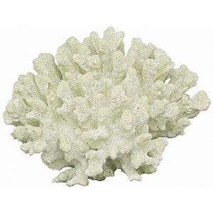  Cauliflower Coral   Natural: Pet Supplies