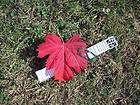 Sly Red Leaf Micro Cache Geocache geocaching Containers