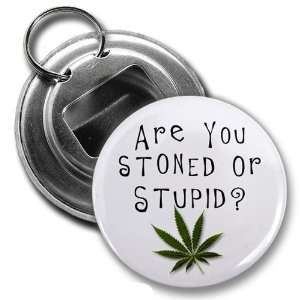  STONED or STUPID Marijuana Pot Leaf 2.25 inch Button Style 