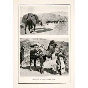  1904 Print Pack Camel Caravan Travel Khyber Pass 