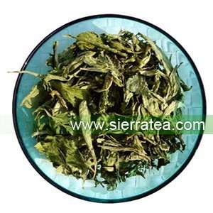 Stevia Tea 100g, ???:  Grocery & Gourmet Food