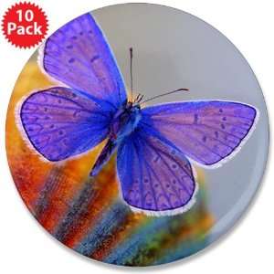  3.5 Button (10 Pack) Xerces Purple Butterfly Everything 