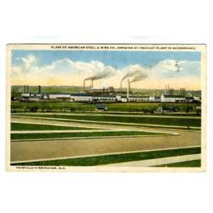    American Steel & Wire Postcard Birmingham AL 1916 