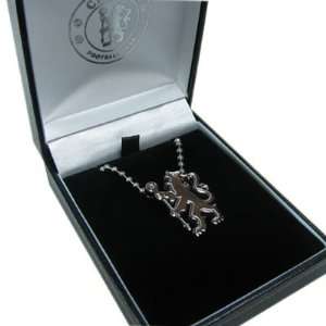   FC. Stainless Steel Lion Pendant and 19 Chain: Sports & Outdoors