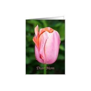  Dear Mom Mothers Day Tulip Pink And Orange Greeting Card 