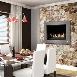   Fireplaces GD36MN 42 in. Manhattan Direct Vent Gas Fireplace   Natural