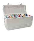 NEW LARGE Igloo MaxCold Full Size Cooler 150 qt Ice Chest 248 Can 