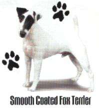   Setter* *Flat Coat Retriever* *Fox Terrier   Smooth Coat* *French
