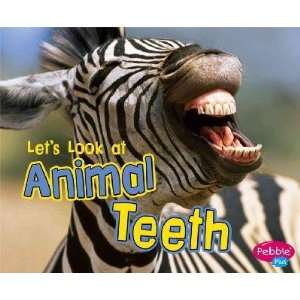  Lets Look at Animal Teeth Wendy Perkins Books
