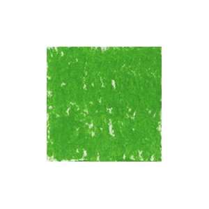  Holbein Oil Pastel Stick Permanent Green Shade 1: Arts 
