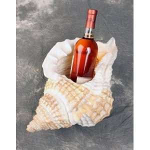  Sea Shell Planter/Bottle holder