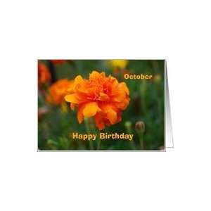  Happy Birthday, Marigold, October Birthday Card Health 