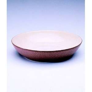 Cinnamon by Denby   Individual Pasta Bowl   8.5 inches  