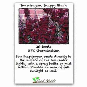  Snappy Black Snapdragon 25 Seeds (Fresh & Untreated 