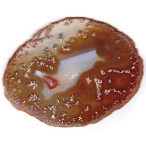  Brazilian Agate Slice Display or Craft Use Actual Agate You Agate 